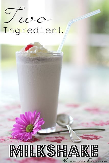 2 Ingredient Milkshake {BEST EVER MILKSHAKE RECIPE!}