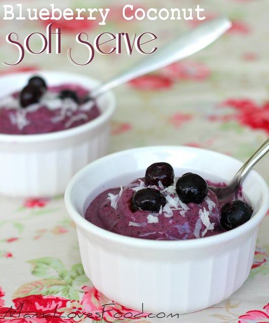 Blueberry Ice Cream {No Dairy}