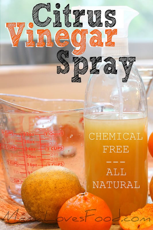 All Purpose All NATURAL Citrus Vinegar Spray