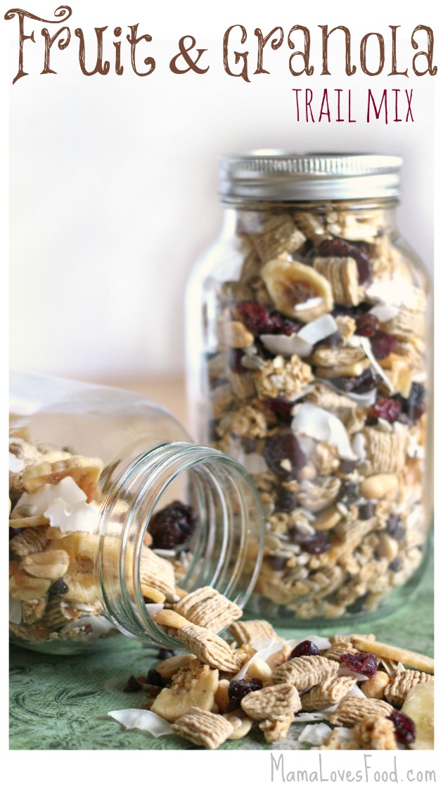 Fruit and Granola Trail Mix