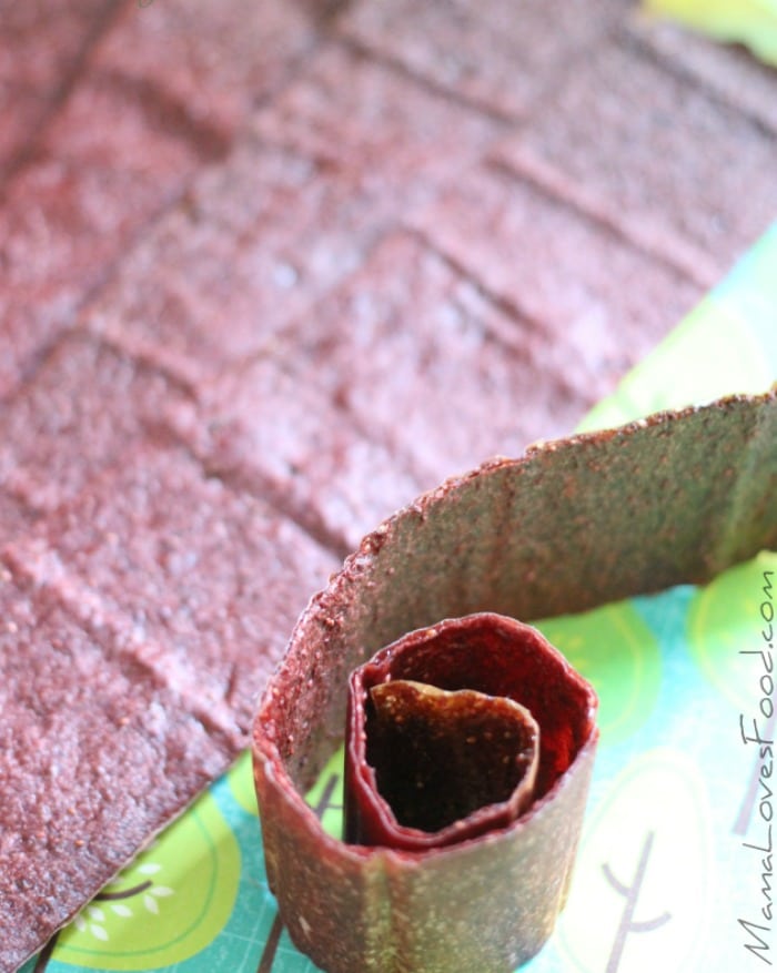 FRUIT ROLL UPS
