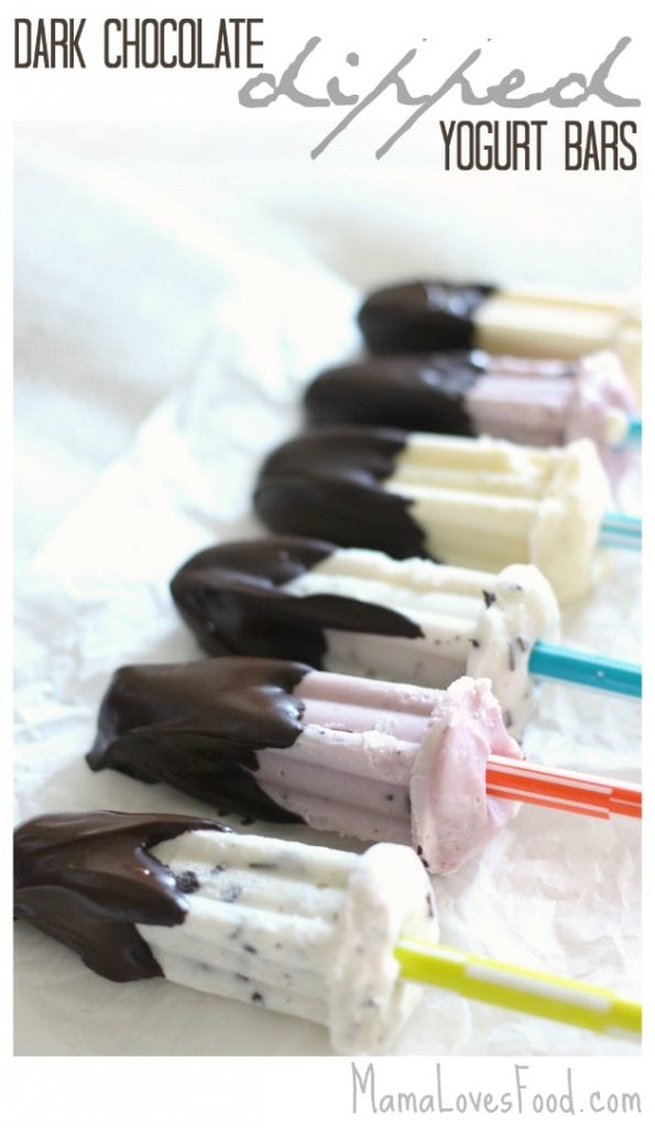 Dark Chocolate Dipped Frozen Yogurt Bars