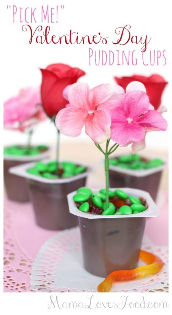 Valentine's Day Pudding Cups