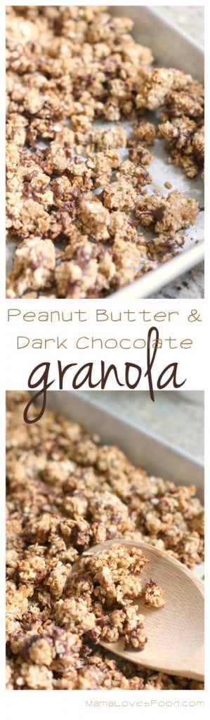 Peanut Butter Dark Chocolate Granola Recipe