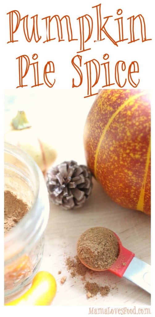 Pumpkin Pie Spice Blend Recipe