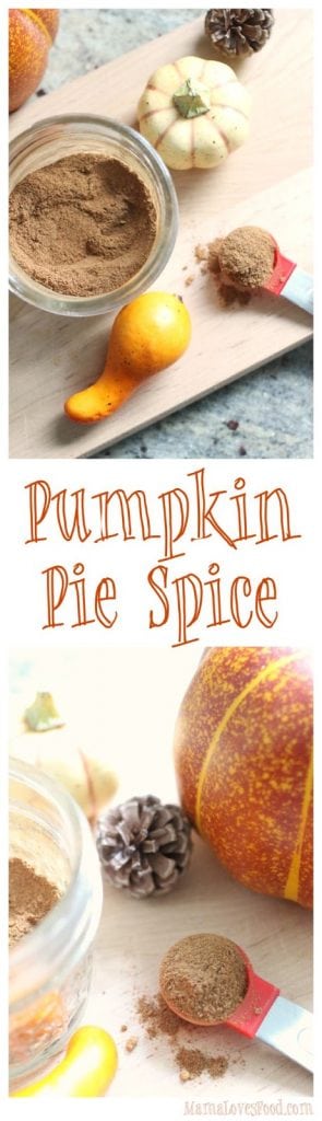 Pumpkin Pie Spice Blend Recipe