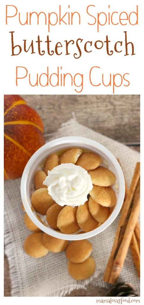 Pumpkin Spiced Butterscotch Pudding Cups