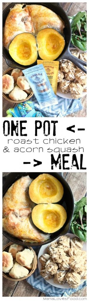 One Pot Roast Chicken and Acorn Squash Recipe