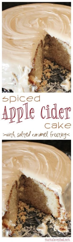 Spiced Apple Cider Cake with Salted Caramel Icing