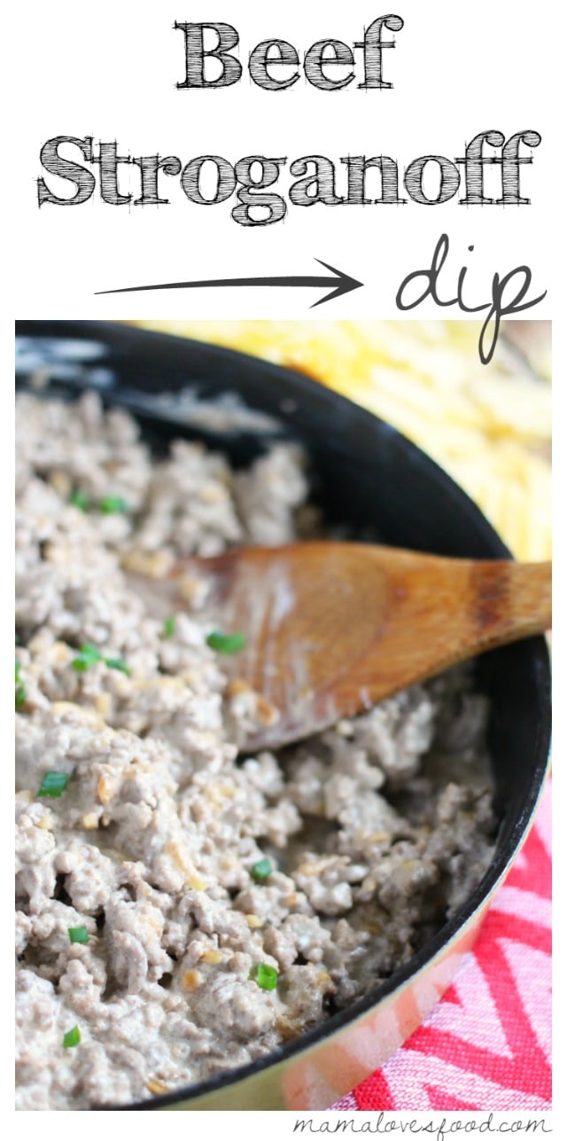 Beef Stroganoff Dip