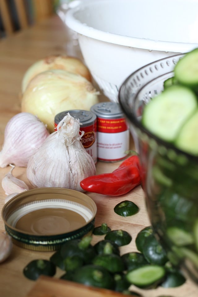 Spicy Garlic Dill Refrigerator Pickles