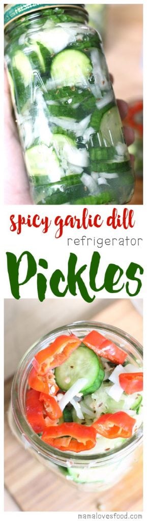 Spicy Garlic Dill Refrigerator Pickles
