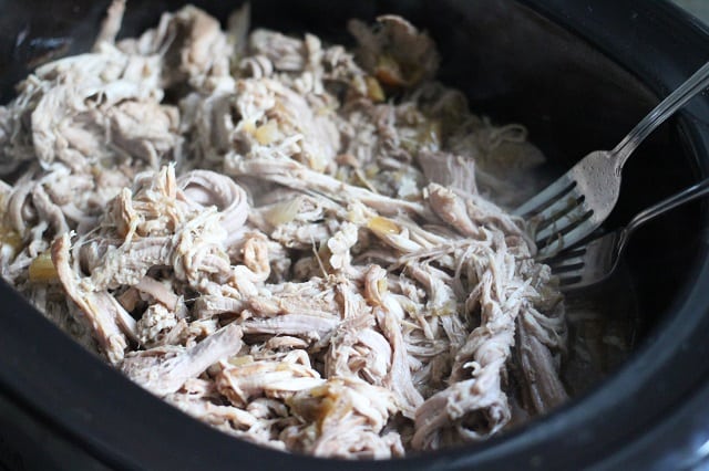 Slow Cooker Apple and Onion Pulled Pork Recipe