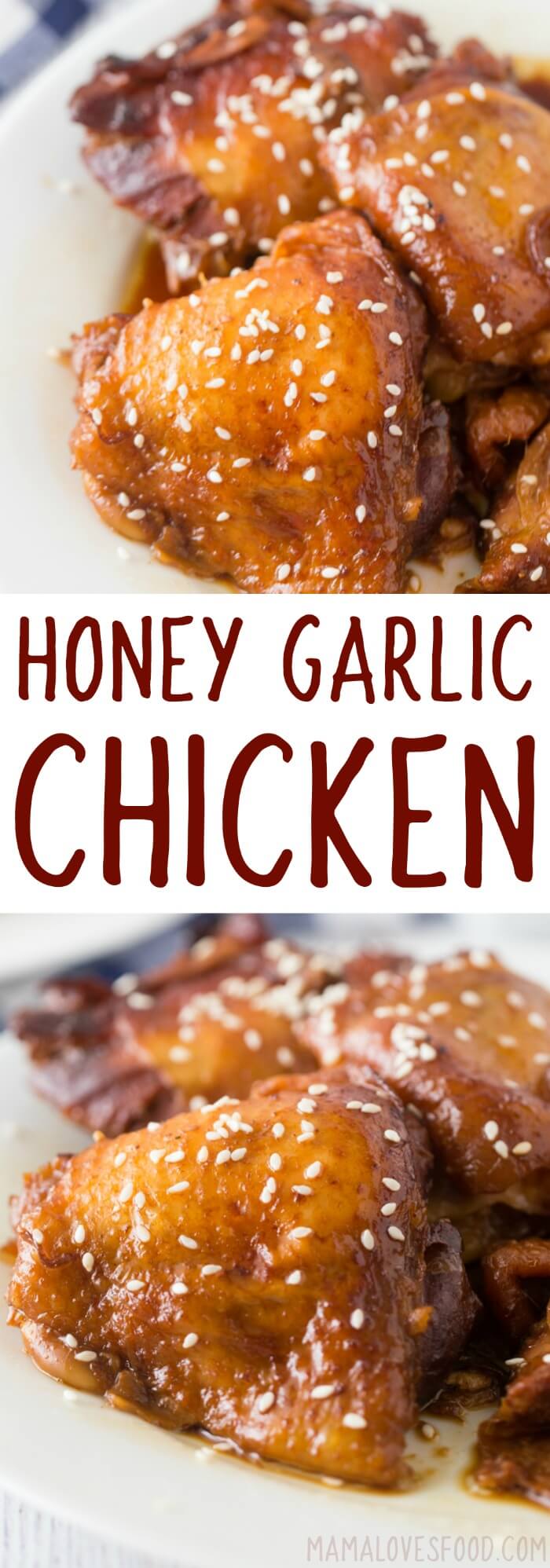 slow cooker honey garlic chicken