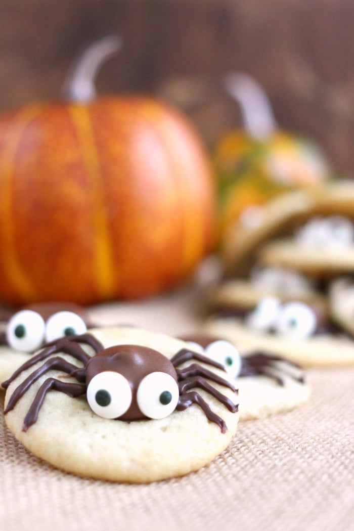 SPIDER COOKIES