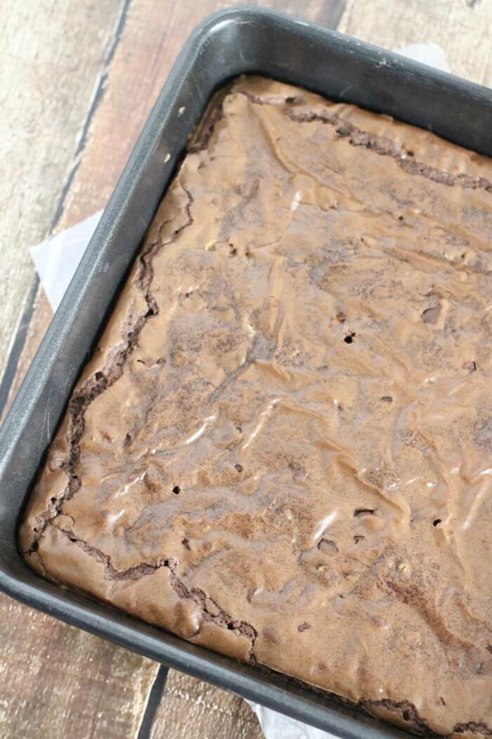 double chocolate peppermint brownies 1