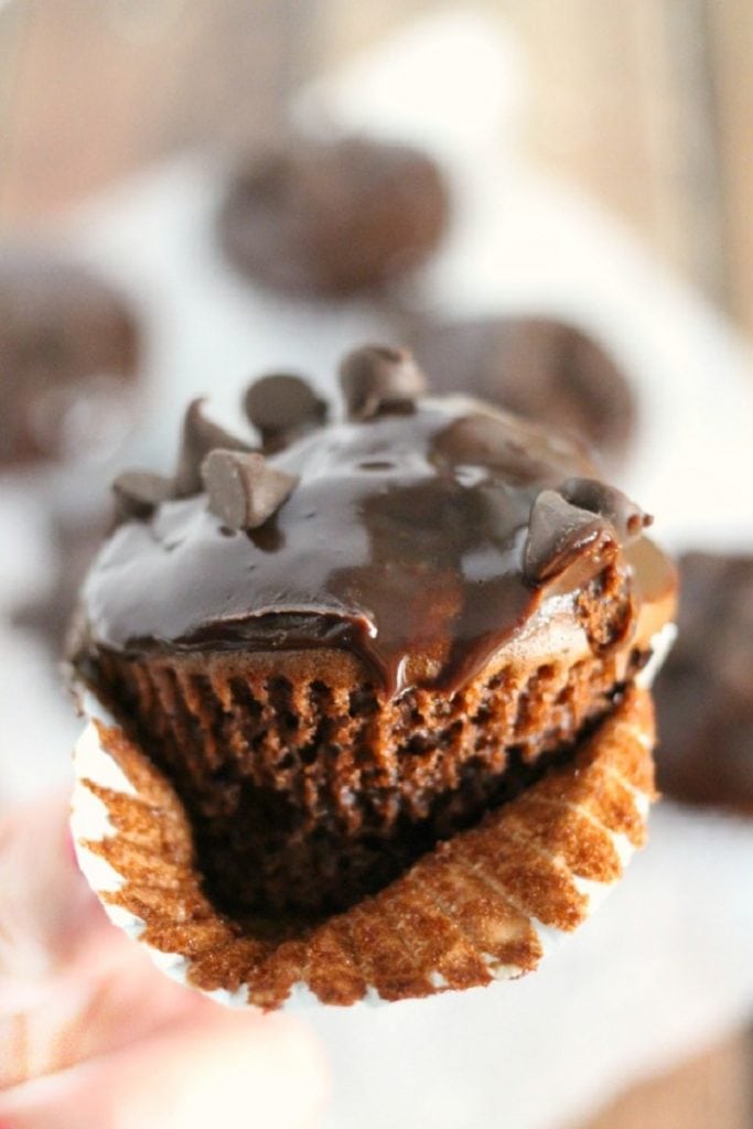 Double Chocolate Mocha Cupcakes 