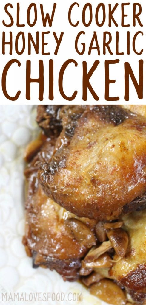 slow cooker honey garlic chicken