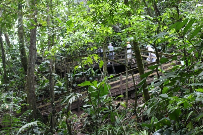 two-tiered Puma Waterfall