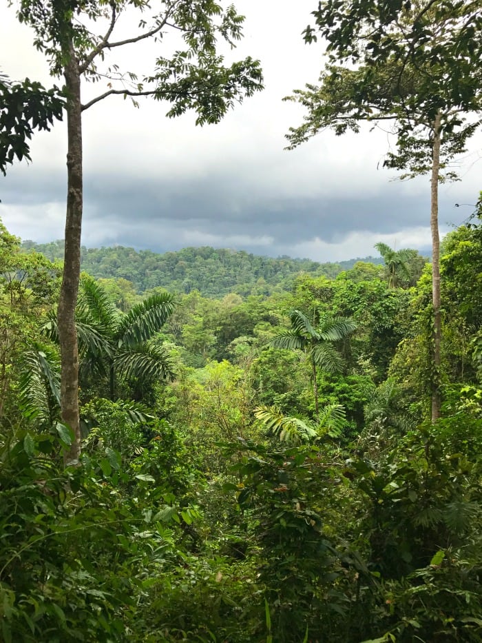 Visiting Limon Costa Rica – Ten Day Cruise through the Panama Canal