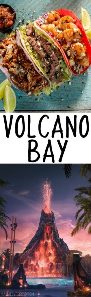 Why You Need to Visit Volcano Bay at Universal Orlando!