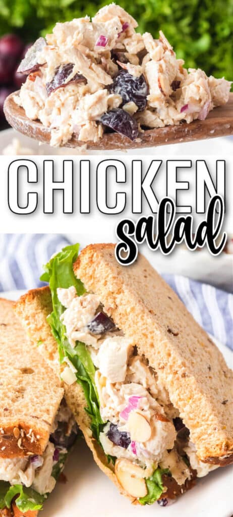 BEST CHICKEN SALAD RECIPE