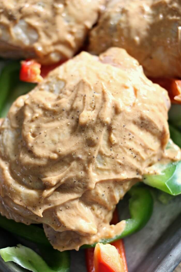 CHICKEN WITH PEANUT BUTTER SAUCE CLOSE UP