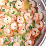 SHRIMP SCAMPI