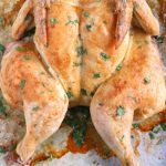 SPATCHCOCK ROAST CHICKEN
