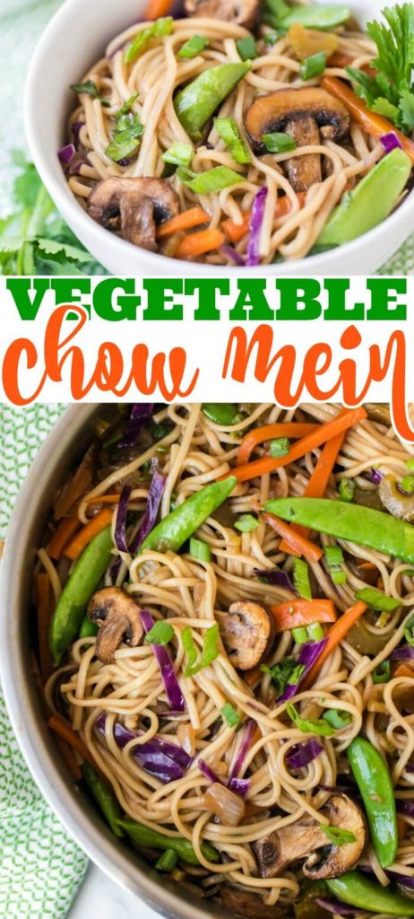 EASY VEGETABLE CHOW MEIN RECIPE