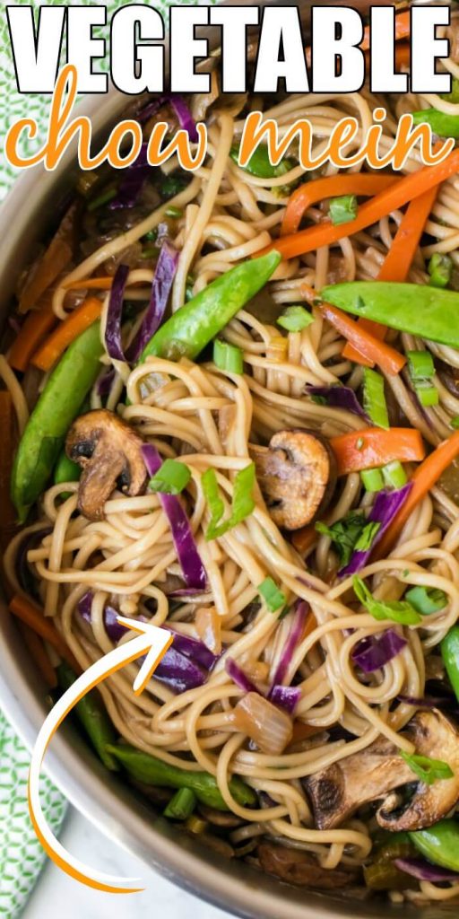 VEGETABLE CHOW MEIN RECIPE EASYVEGETABLE CHOW MEIN RECIPE EASY