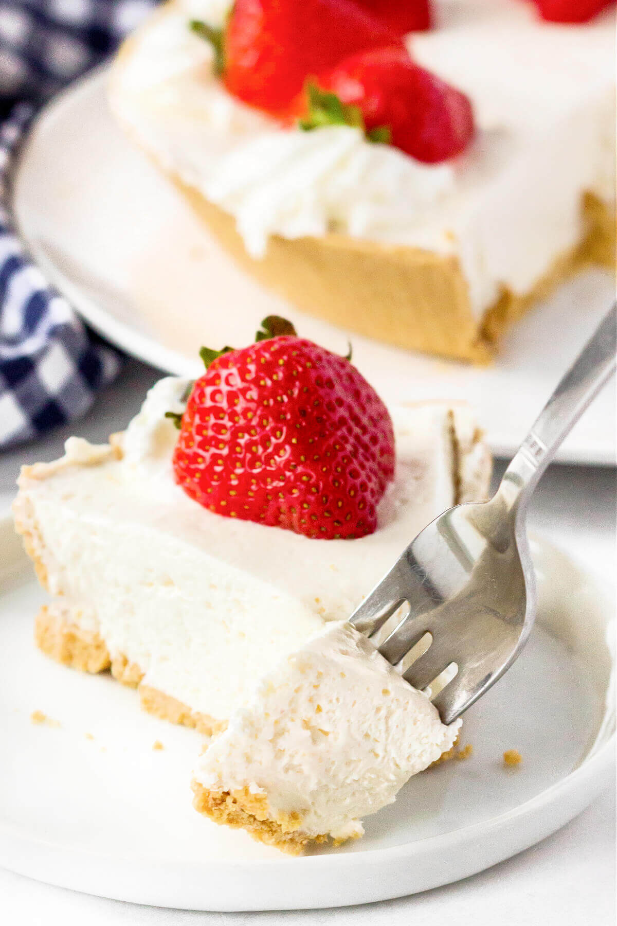 CHEESECAKE NO BAKE