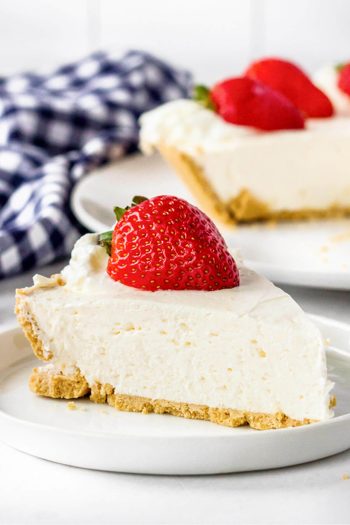 EASY NO BAKE CHEESECAKE RECIPE