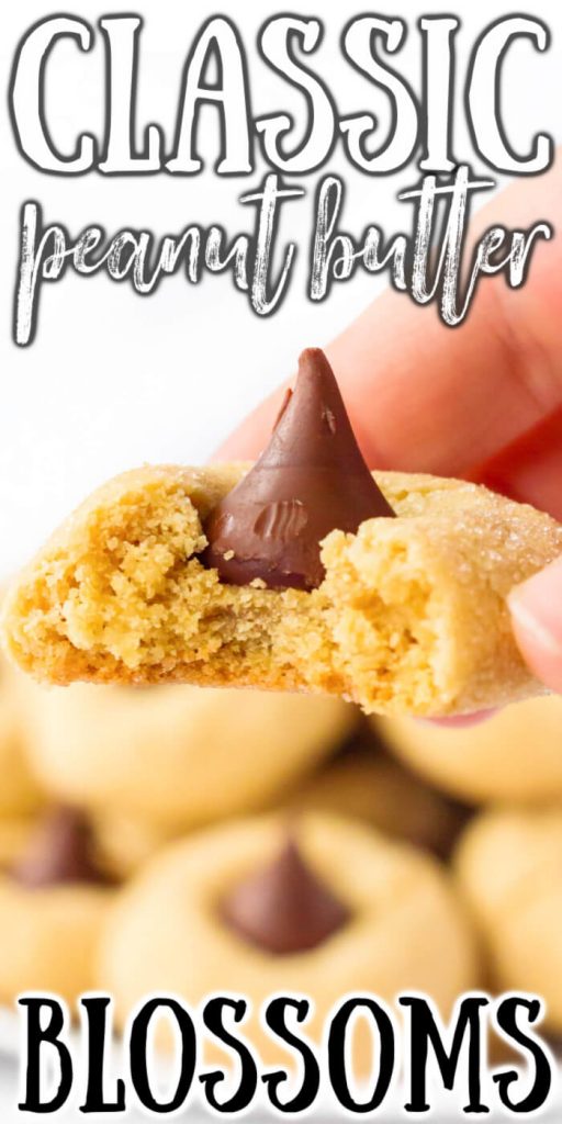 CLASSIC PEANUT BUTTER BLOSSOMS