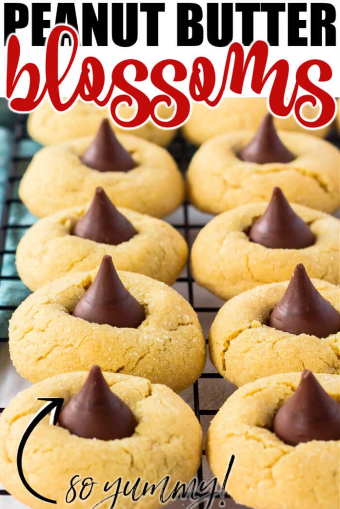 PEANUT BUTTER BLOSSOMS