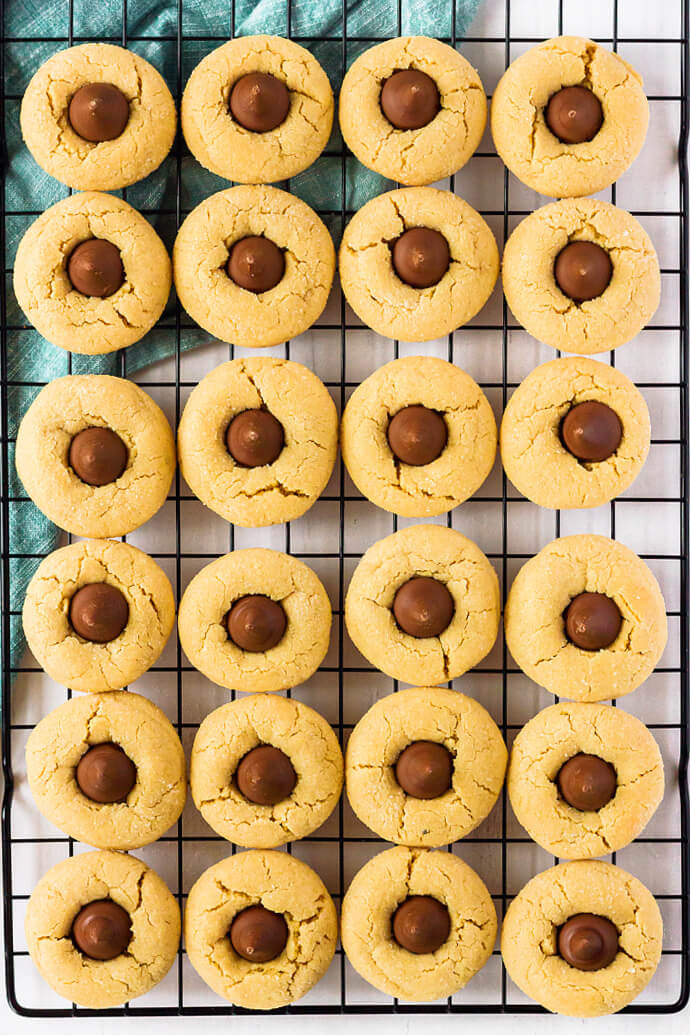 Peanut Butter Blossoms (Hershey Kiss Cookies) are pillowy soft peanut butter cookies rolled in sugar & topped with a Hershey's Kiss. RECIPE FOR PEANUT BUTTER BLOSSOMS