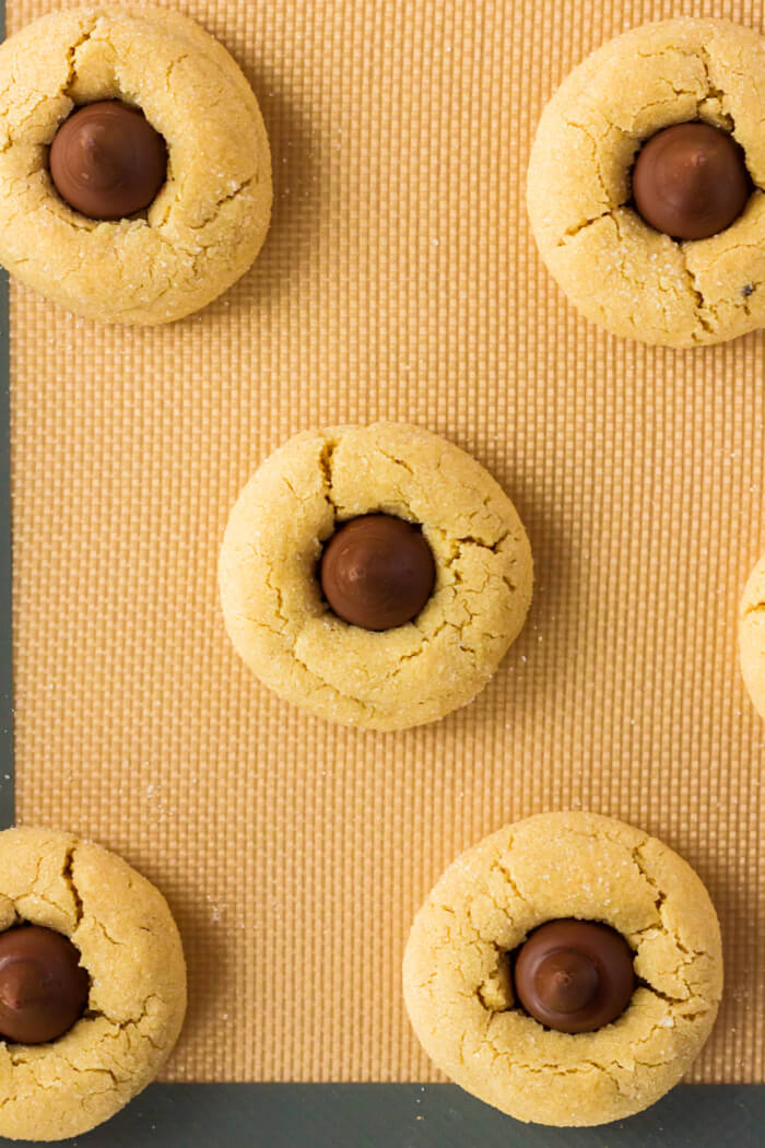 Peanut Butter Blossoms (Hershey Kiss Cookies) are pillowy soft peanut butter cookies rolled in sugar & topped with a Hershey's Kiss. SOFT PEANUT BUTTER BLOSSOMS