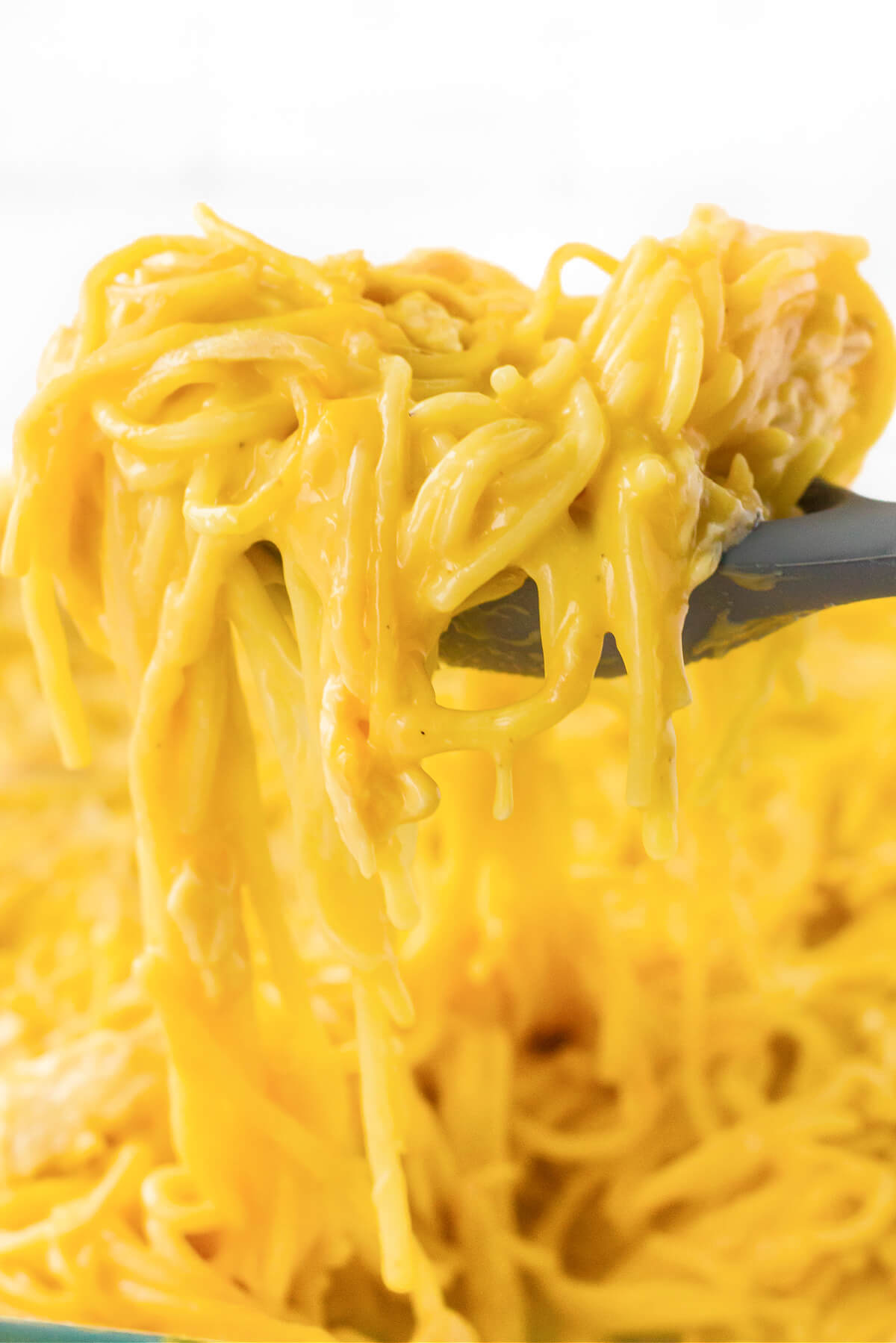 EASY CHICKEN SPAGHETTI RECIPE