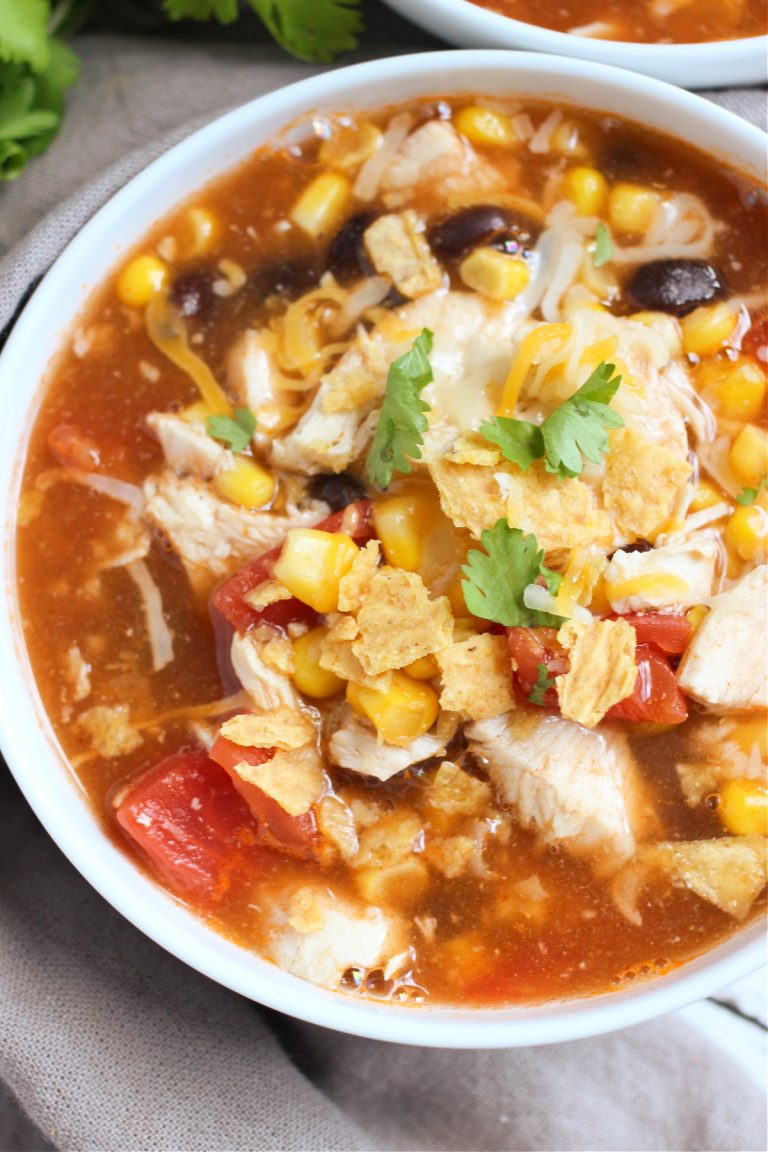 CHICKEN TACO SOUP