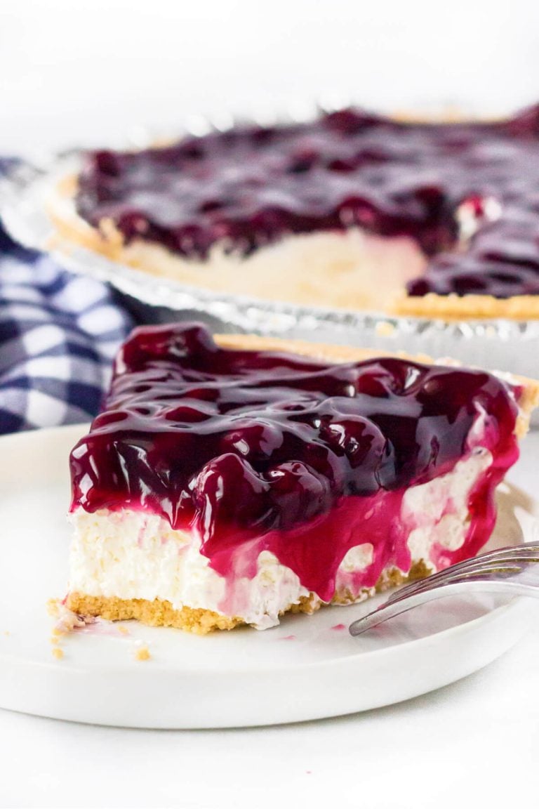 NO BAKE BLUEBERRY CHEESECAKE