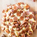 CHOCOLATE CHIP COVERED COOKIES GIDEONS BAKEHOUSE