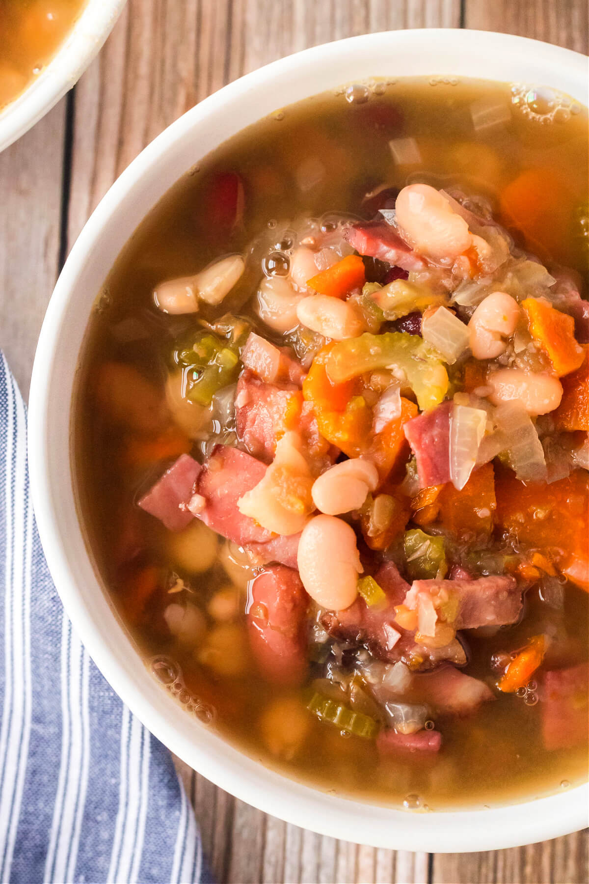 INSTANT POT HAM AND BEAN SOUP