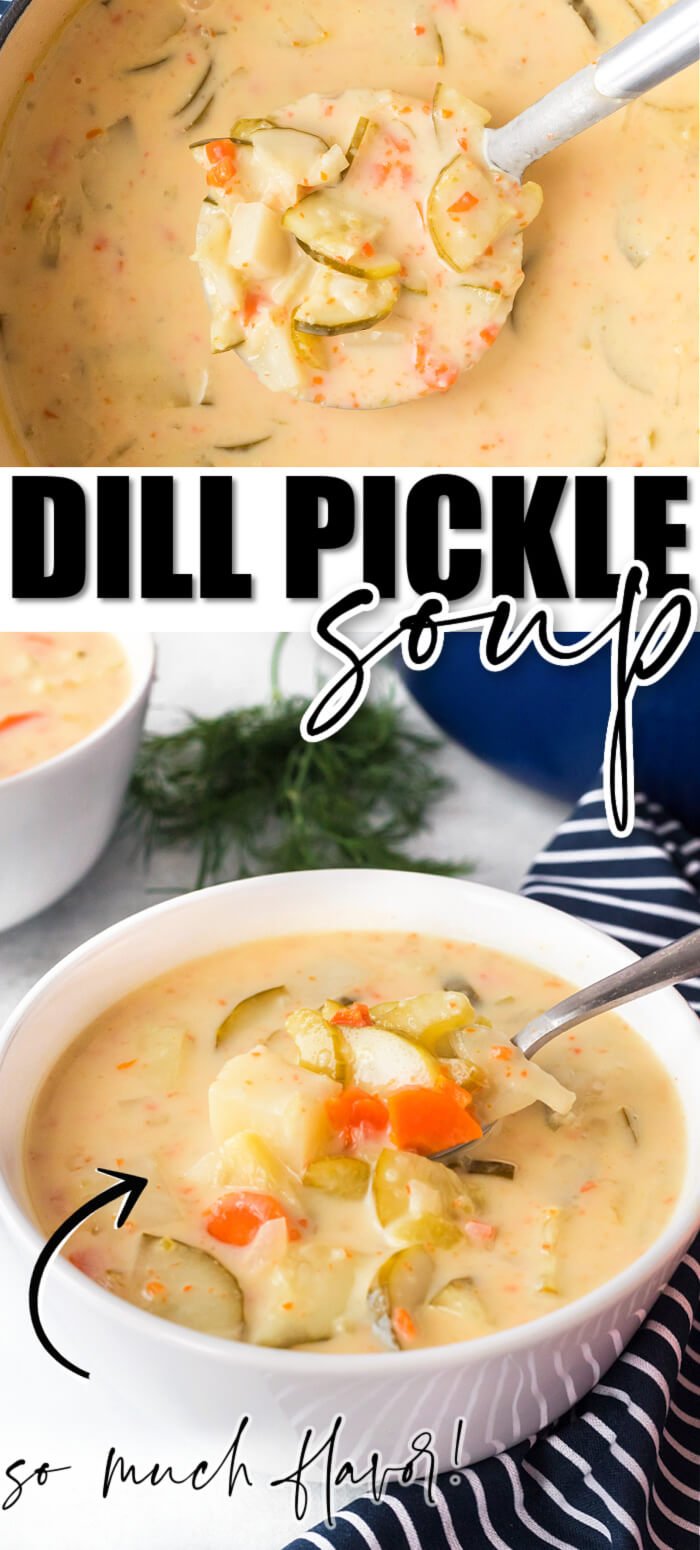 BEST DILL PICKLE SOUP
