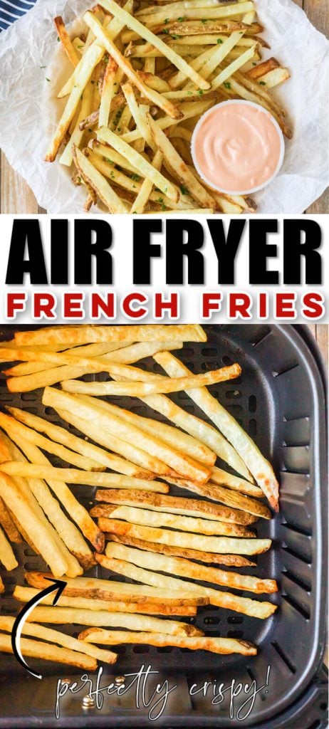 BEST AIR FRYER FRENCH FRIES