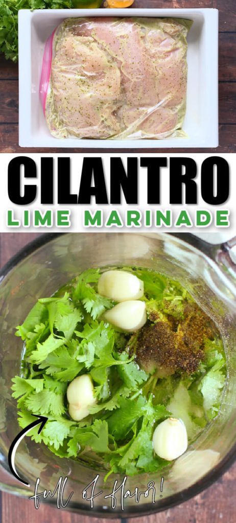 RECIPE FOR LIME CILANTRO MARINADE
