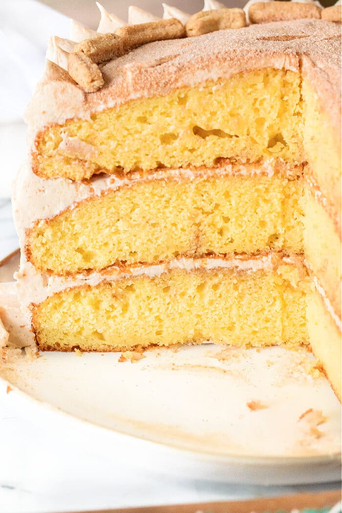 SNICKERDOODLE LAYER CAKE