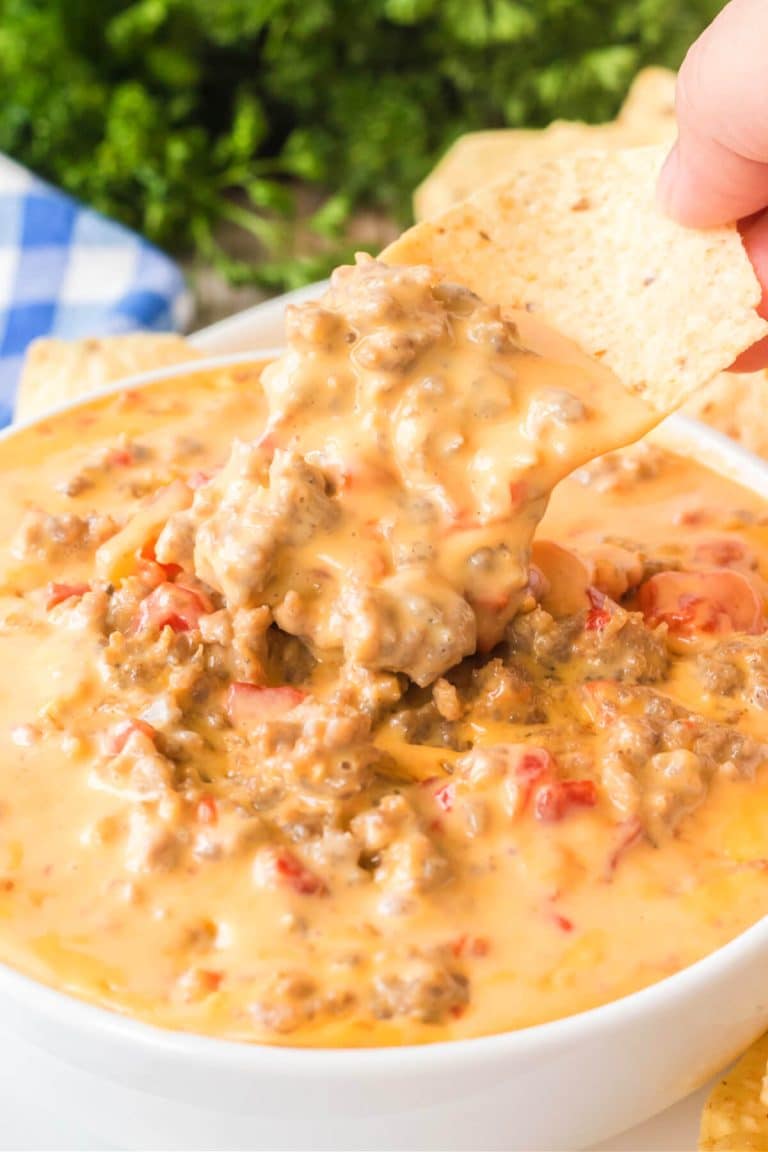 VELVEETA SAUSAGE DIP