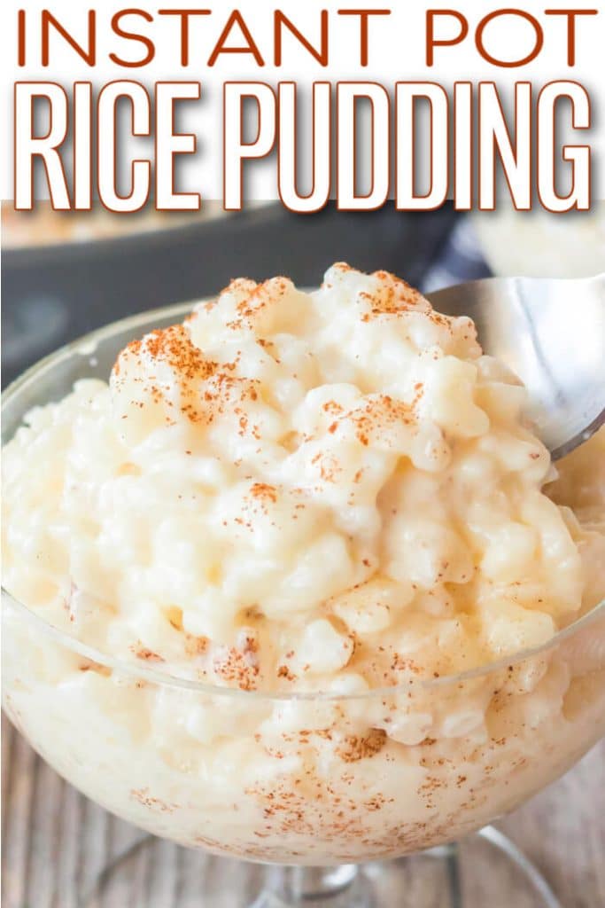EASY INSTANT POT RICE PUDDING