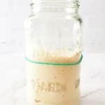 SOURDOUGH STARTER