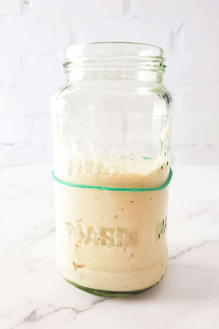 SOURDOUGH STARTER